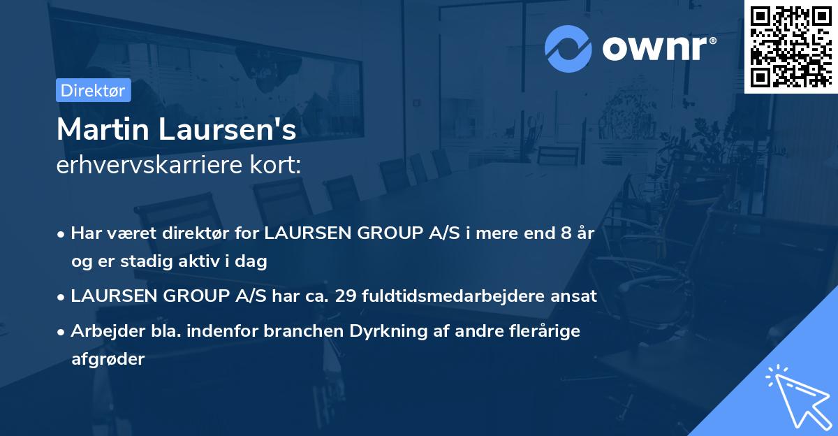 Martin Laursen's erhvervskarriere kort
