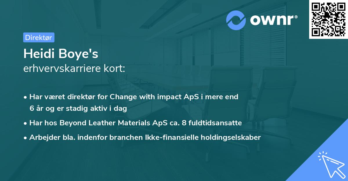 Heidi Boye's erhvervskarriere kort