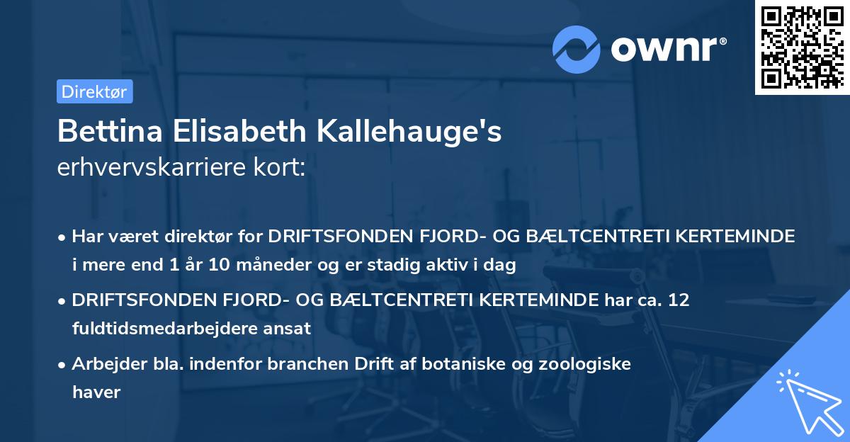 Bettina Elisabeth Kallehauge's erhvervskarriere kort