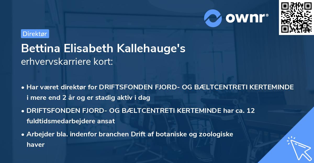 Bettina Elisabeth Kallehauge's erhvervskarriere kort