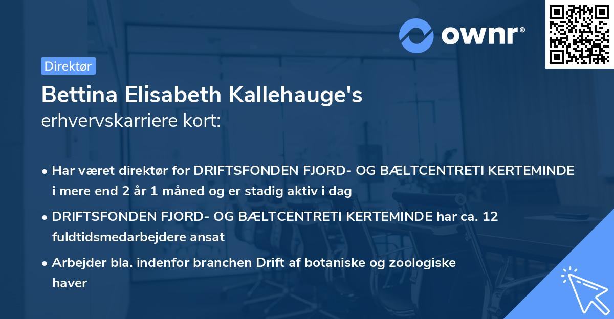 Bettina Elisabeth Kallehauge's erhvervskarriere kort