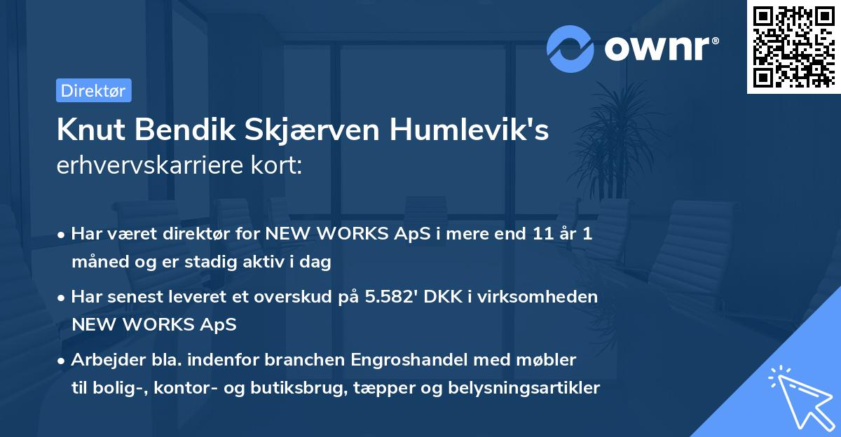 Knut Bendik Skjærven Humlevik's erhvervskarriere kort