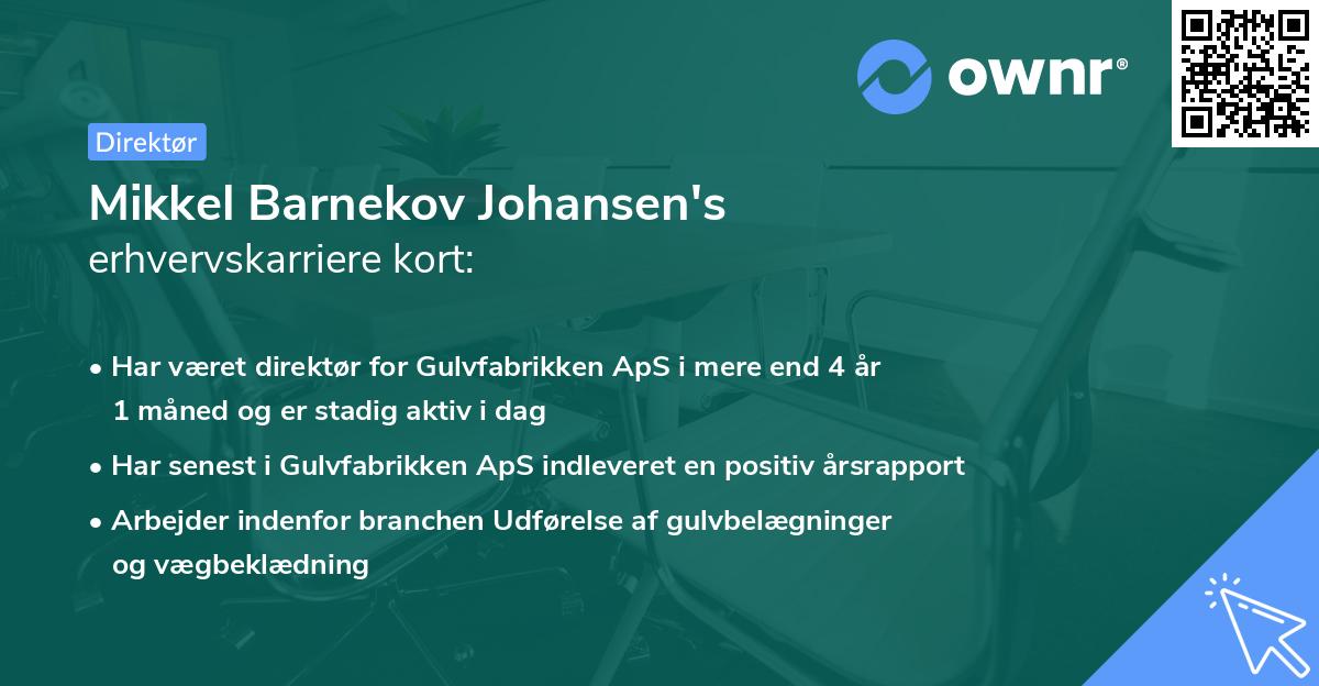 Mikkel Barnekov Johansen's erhvervskarriere kort