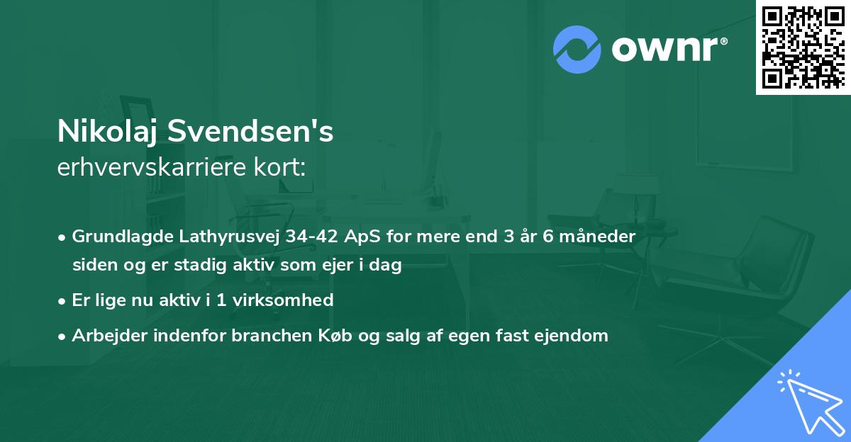 Nikolaj Svendsen's erhvervskarriere kort
