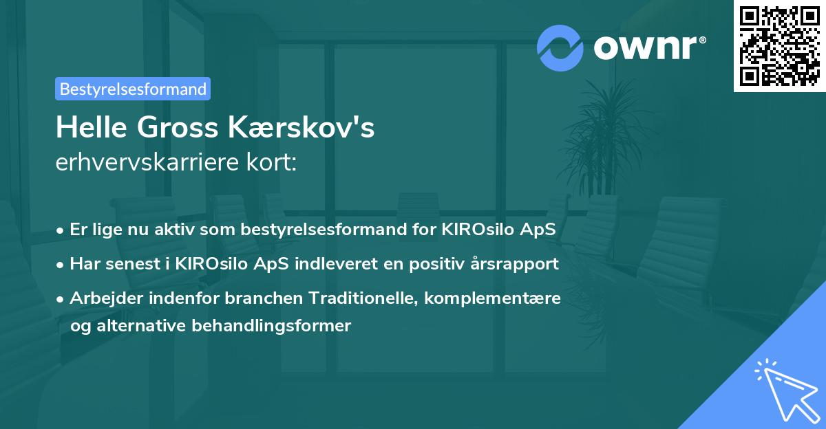 Helle Gross Kærskov's erhvervskarriere kort