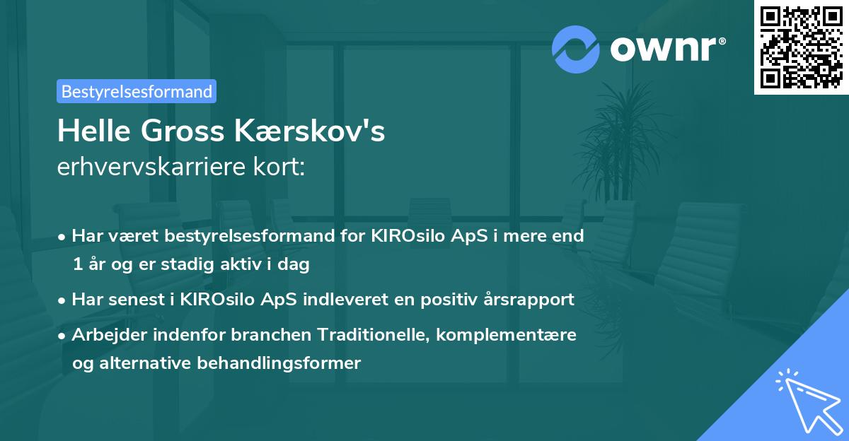 Helle Gross Kærskov's erhvervskarriere kort