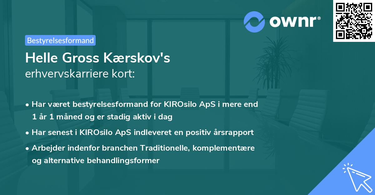 Helle Gross Kærskov's erhvervskarriere kort
