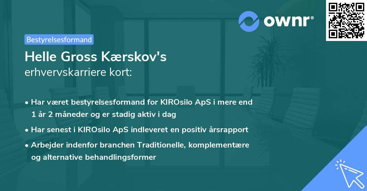 Helle Gross Kærskov's erhvervskarriere kort
