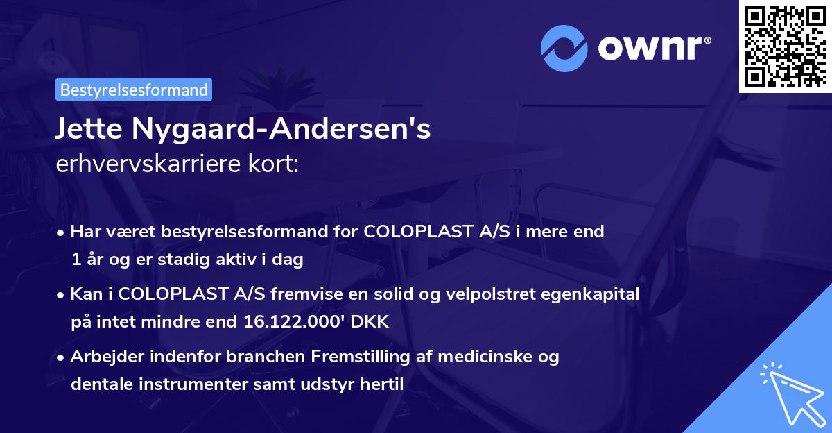 Jette Nygaard-Andersen's erhvervskarriere kort