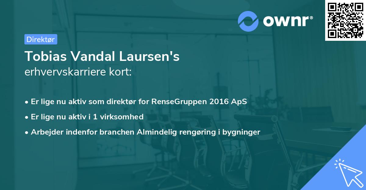 Tobias Vandal Laursen's erhvervskarriere kort