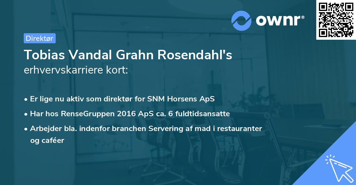 Tobias Vandal Grahn Rosendahl's erhvervskarriere kort