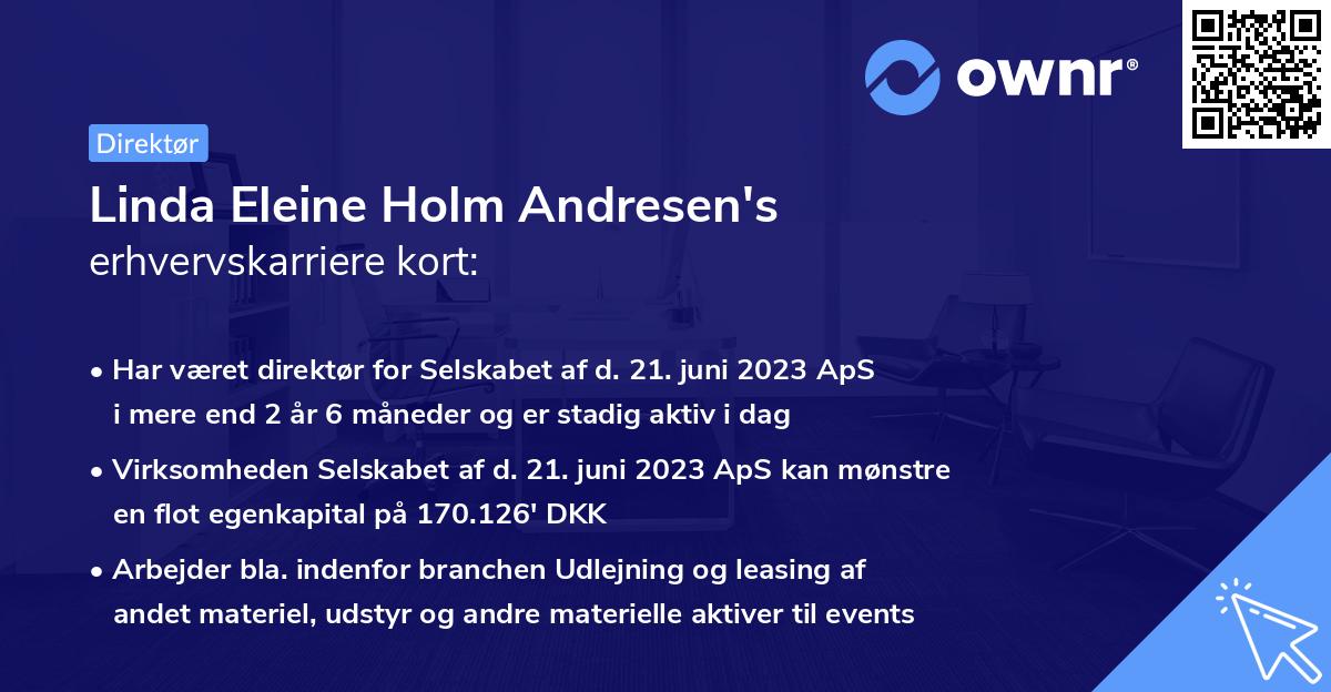 Linda Eleine Holm Andresen's erhvervskarriere kort