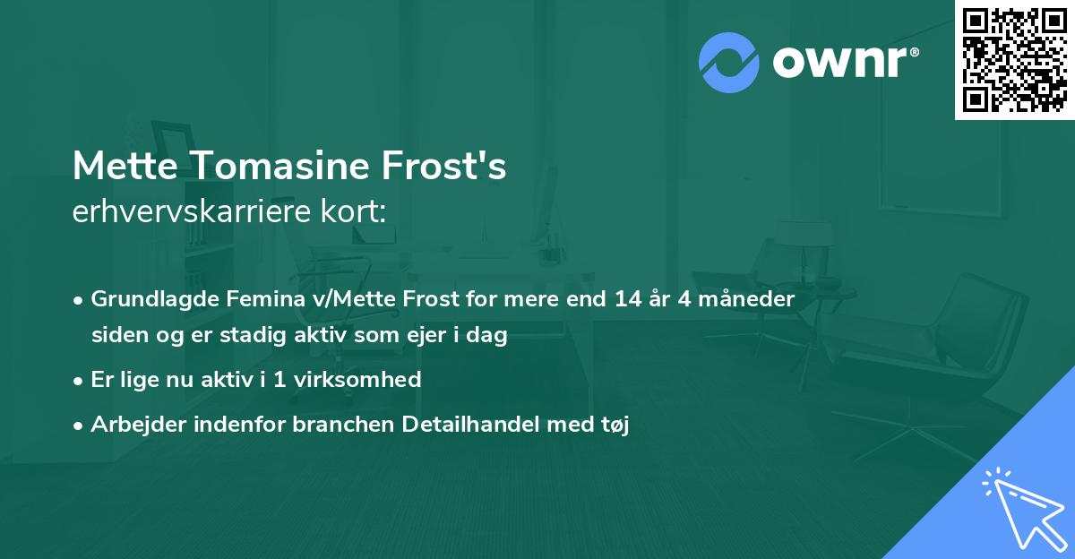 Mette Tomasine Frost's erhvervskarriere kort