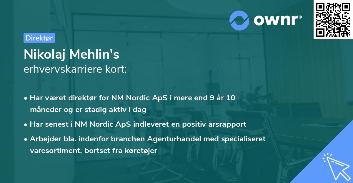 Nikolaj Mehlin's erhvervskarriere kort