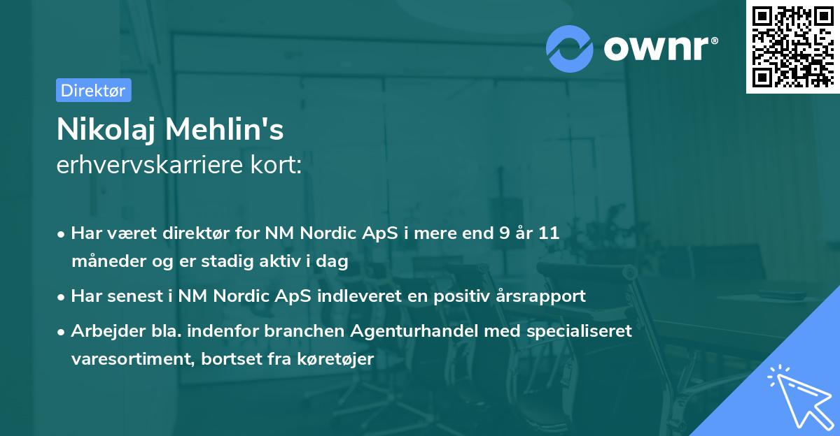 Nikolaj Mehlin's erhvervskarriere kort