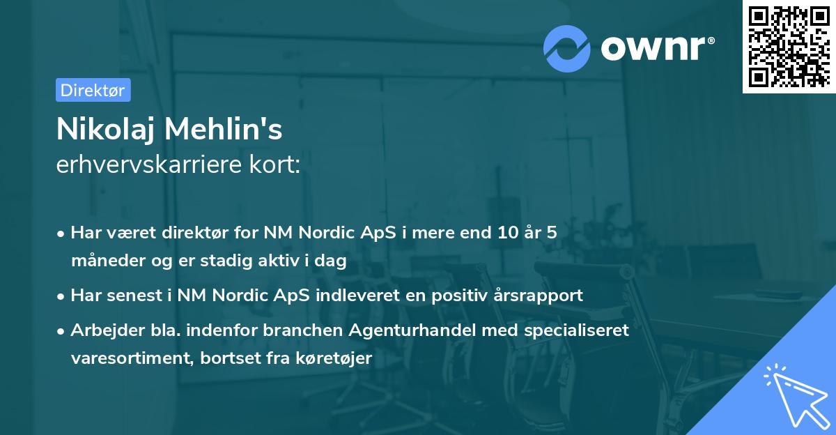 Nikolaj Mehlin's erhvervskarriere kort