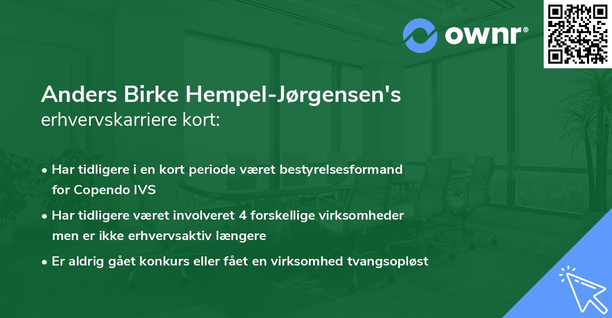 Anders Birke Hempel-Jørgensen's erhvervskarriere kort