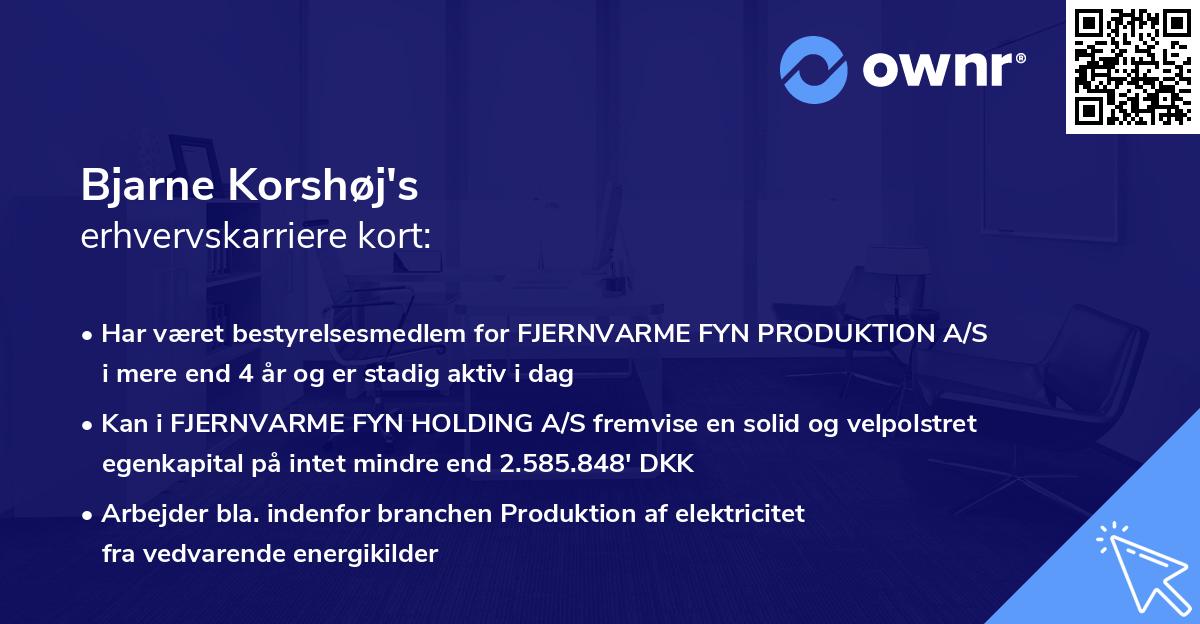 Bjarne Korshøj's erhvervskarriere kort