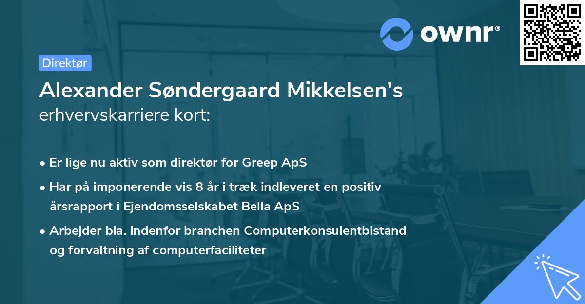 Alexander Søndergaard Mikkelsen's erhvervskarriere kort