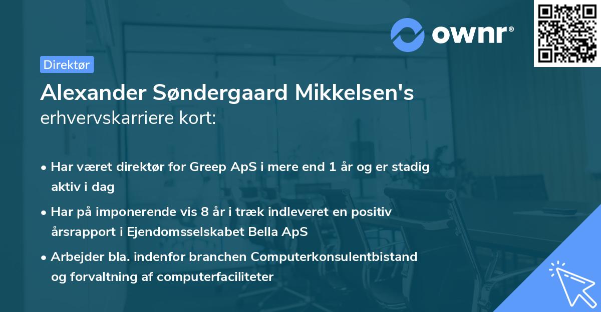 Alexander Søndergaard Mikkelsen's erhvervskarriere kort