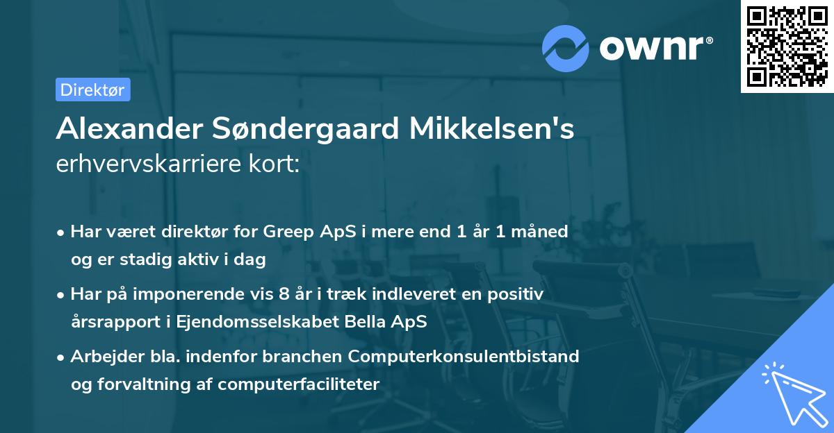 Alexander Søndergaard Mikkelsen's erhvervskarriere kort