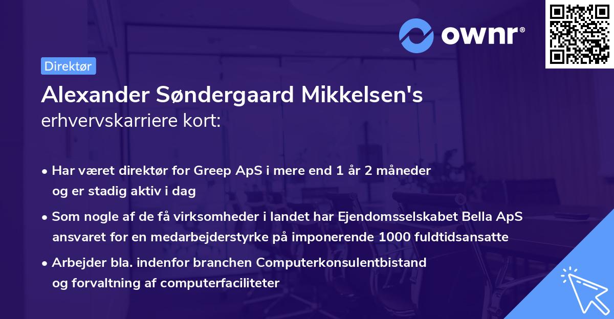 Alexander Søndergaard Mikkelsen's erhvervskarriere kort