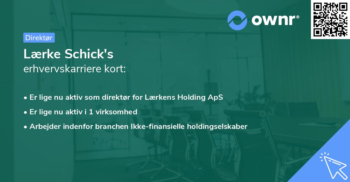 Lærke Schick's erhvervskarriere kort