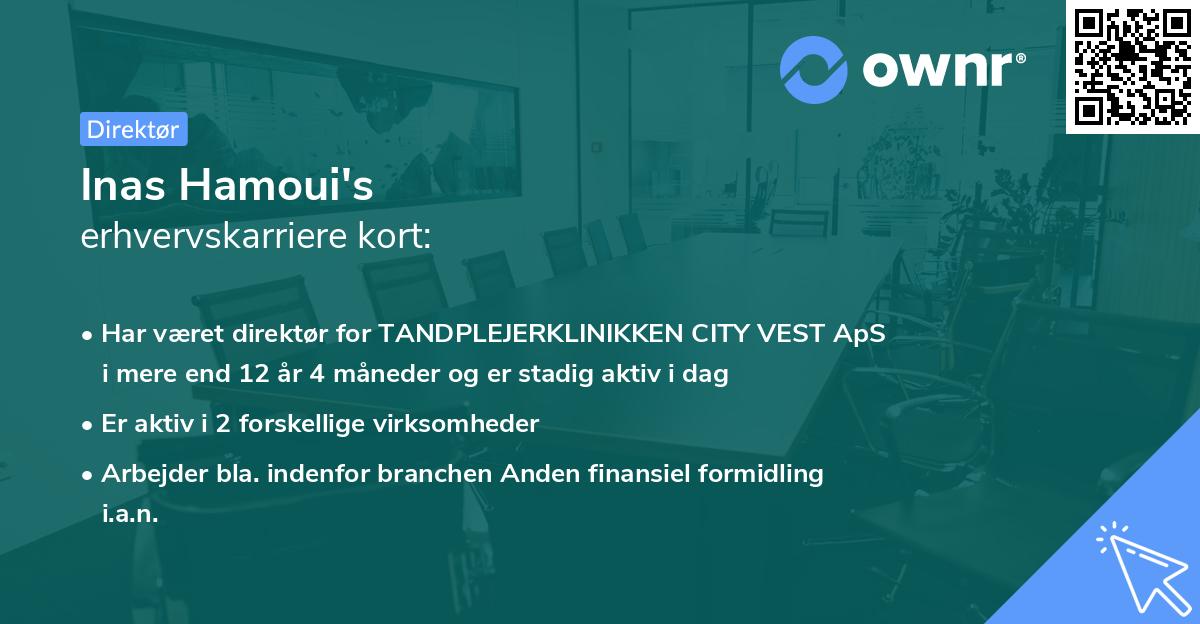 Inas Hamoui's erhvervskarriere kort