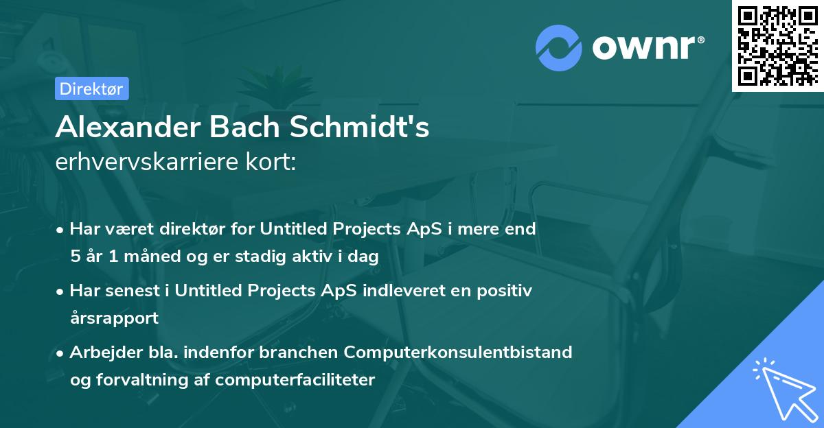 Alexander Bach Schmidt's erhvervskarriere kort