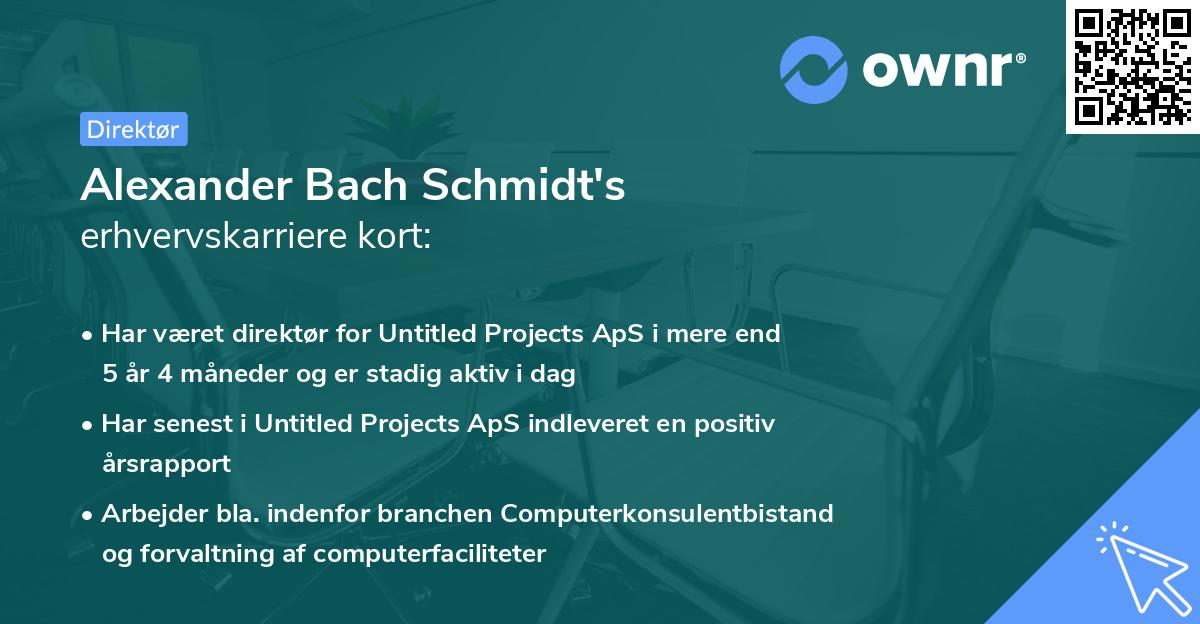 Alexander Bach Schmidt's erhvervskarriere kort