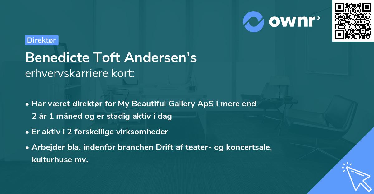 Benedicte Toft Andersen's erhvervskarriere kort