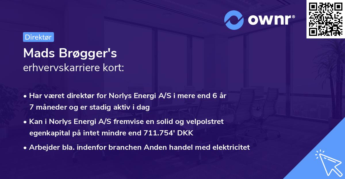 Mads Brøgger's erhvervskarriere kort