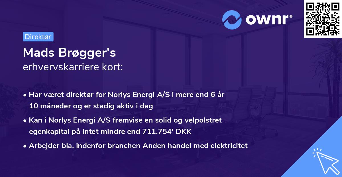 Mads Brøgger's erhvervskarriere kort