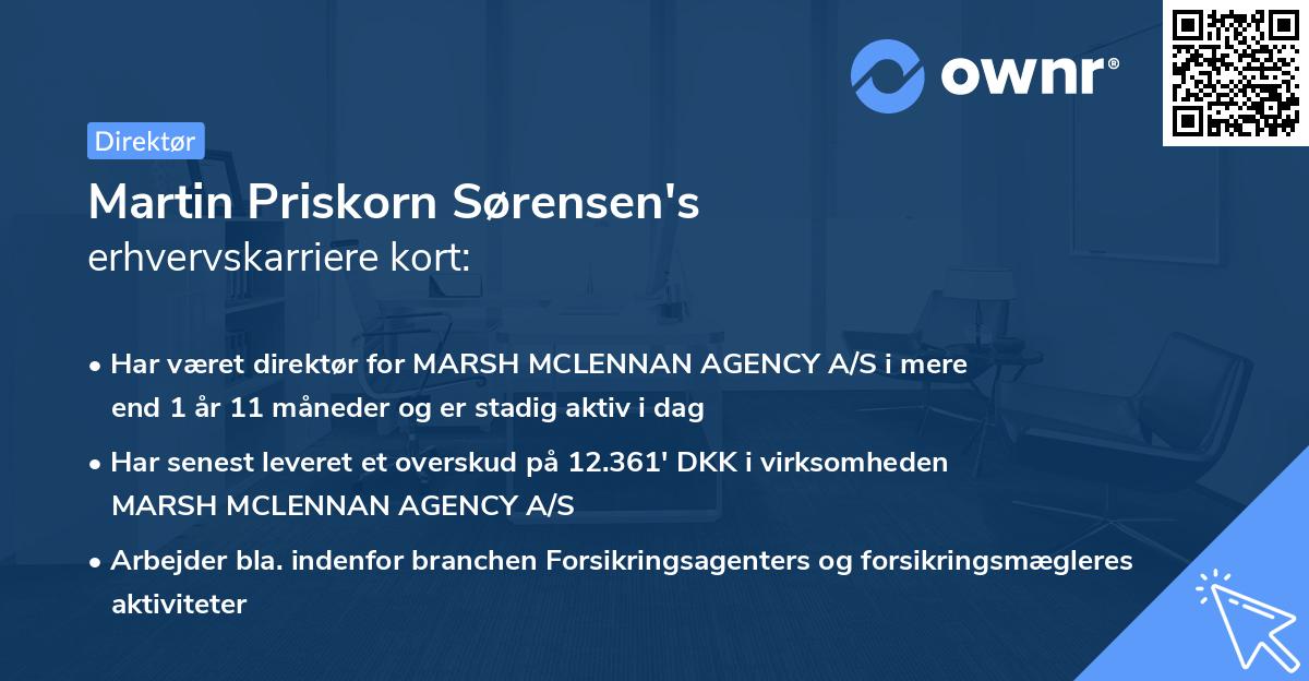 Martin Priskorn Sørensen's erhvervskarriere kort