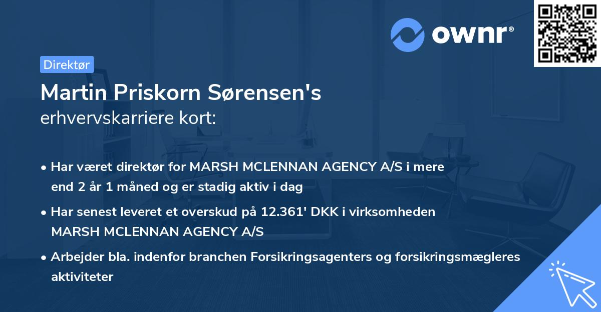 Martin Priskorn Sørensen's erhvervskarriere kort