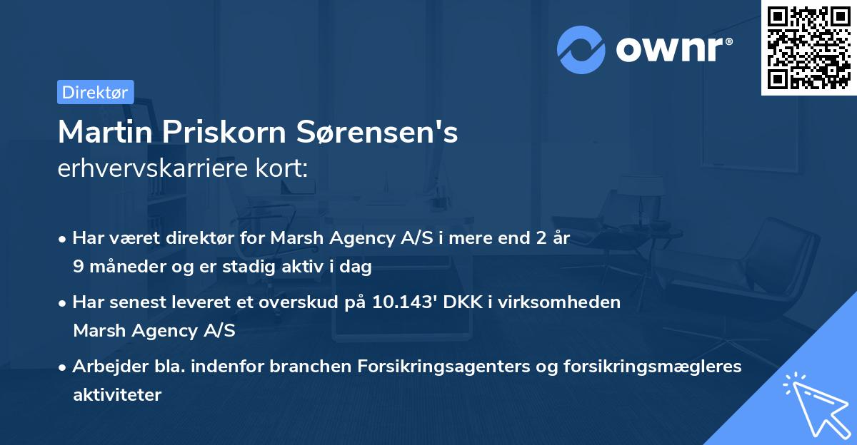 Martin Priskorn Sørensen's erhvervskarriere kort