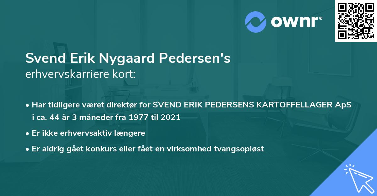 Svend Erik Nygaard Pedersen's erhvervskarriere kort