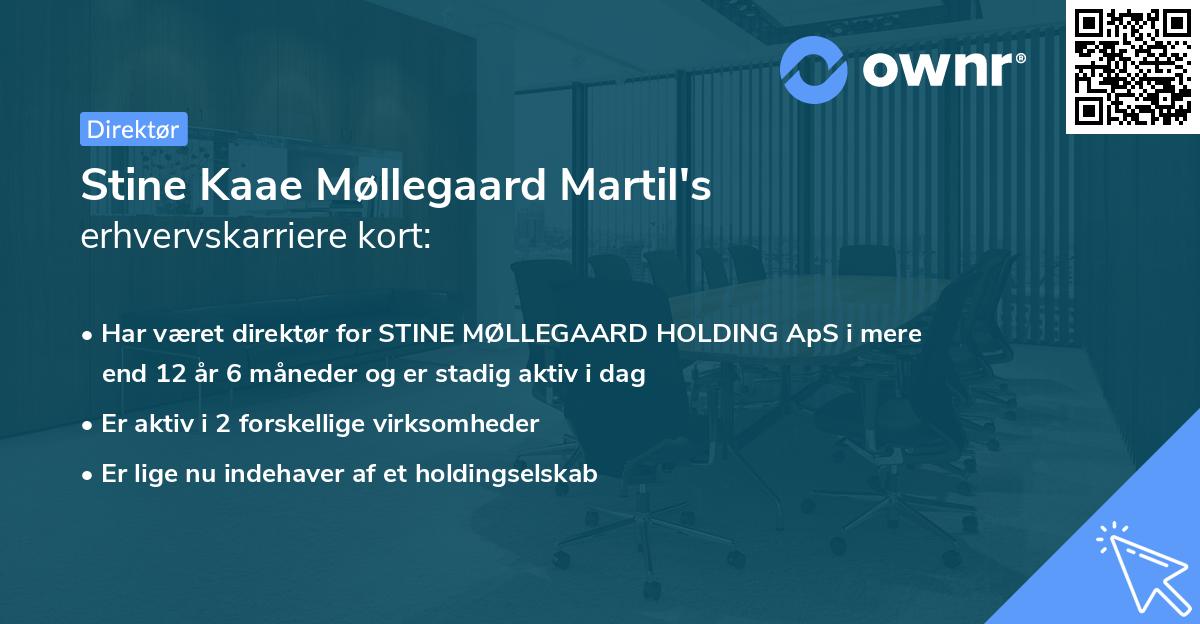 Stine Kaae Møllegaard Martil's erhvervskarriere kort