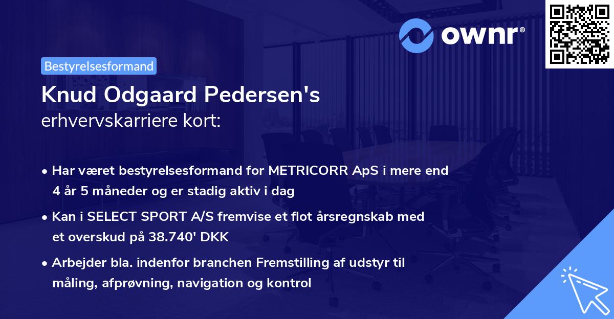 Knud Odgaard Pedersen's erhvervskarriere kort