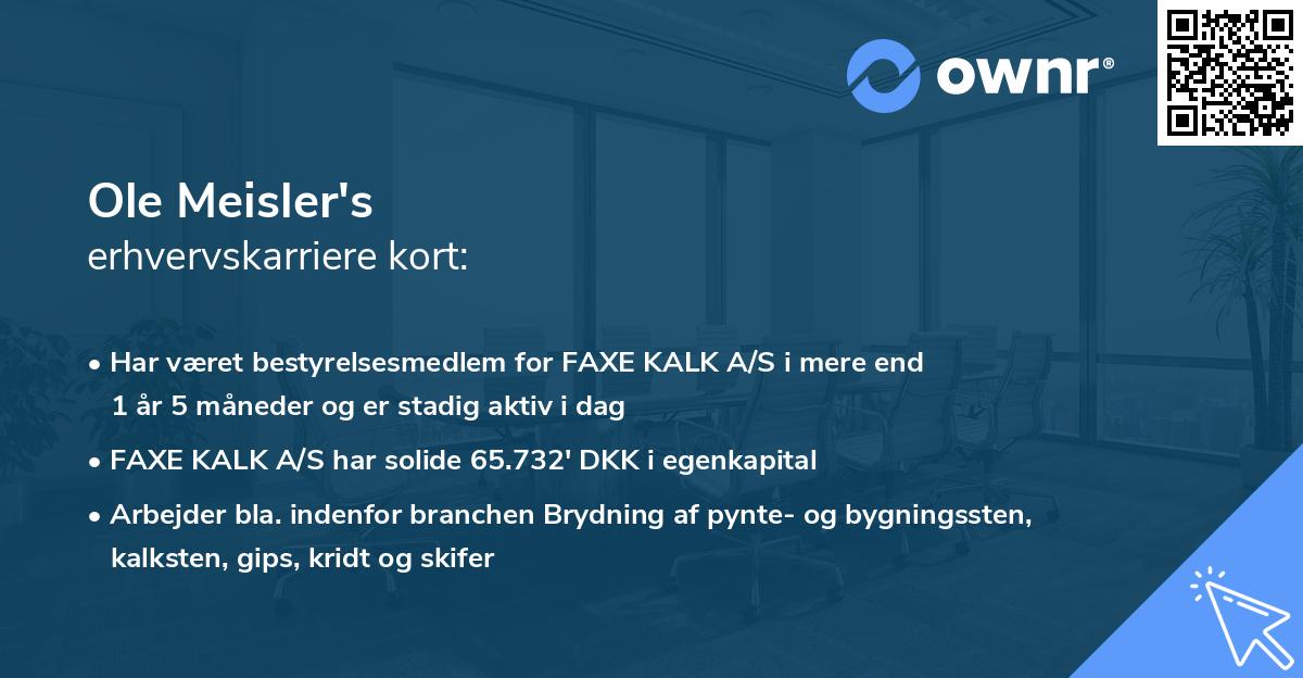 Ole Meisler's erhvervskarriere kort