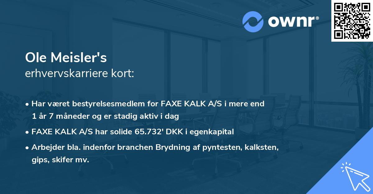 Ole Meisler's erhvervskarriere kort