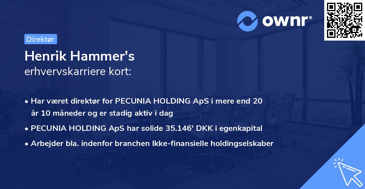 Henrik Hammer's erhvervskarriere kort