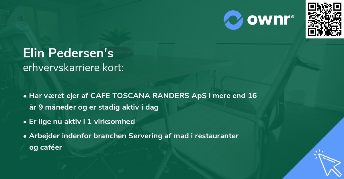 Elin Pedersen's erhvervskarriere kort