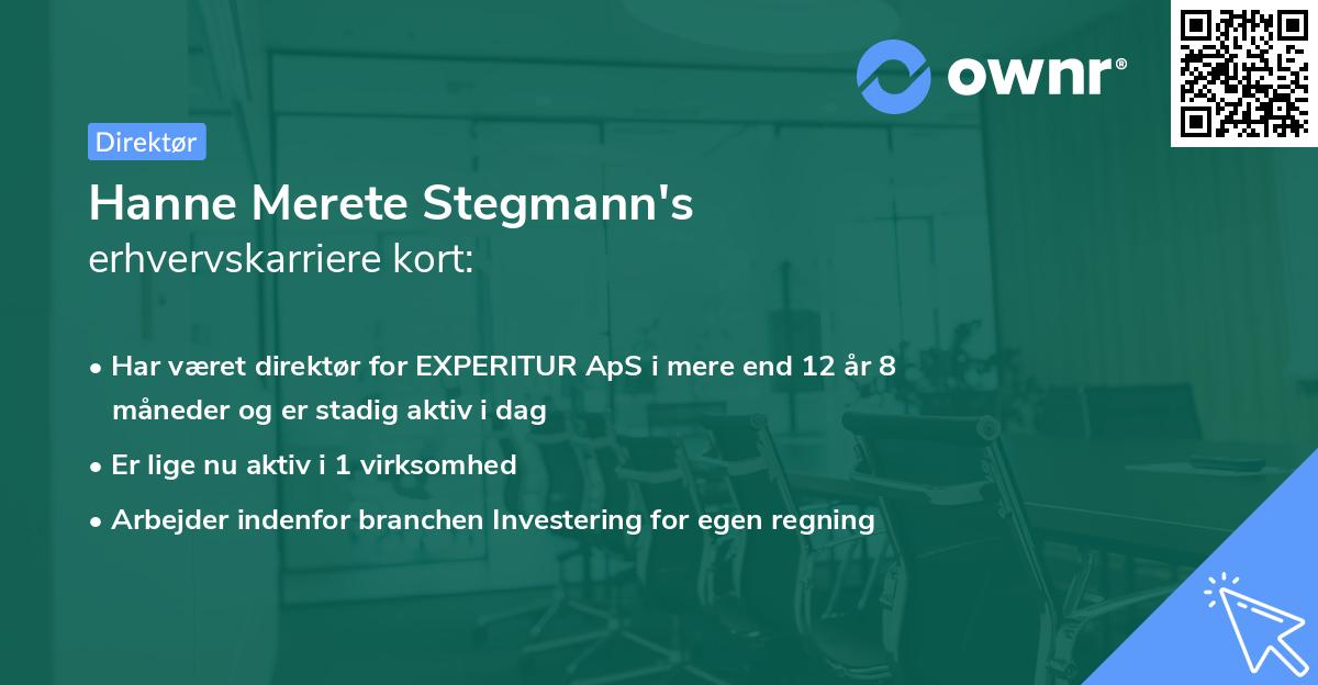Hanne Merete Stegmann's erhvervskarriere kort