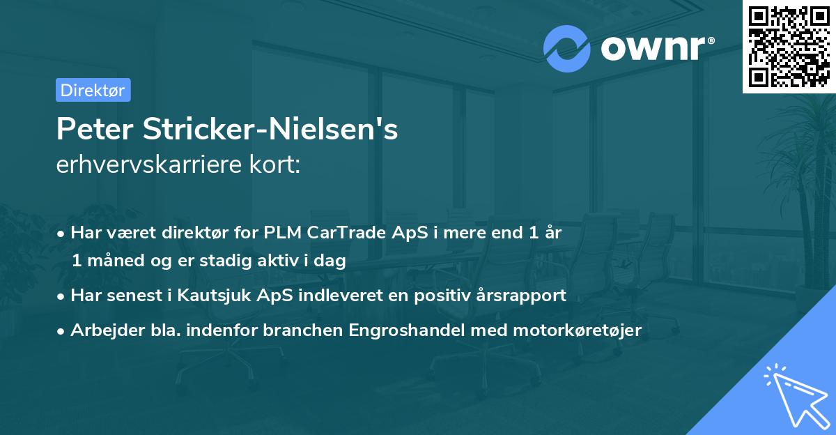 Peter Stricker-Nielsen's erhvervskarriere kort