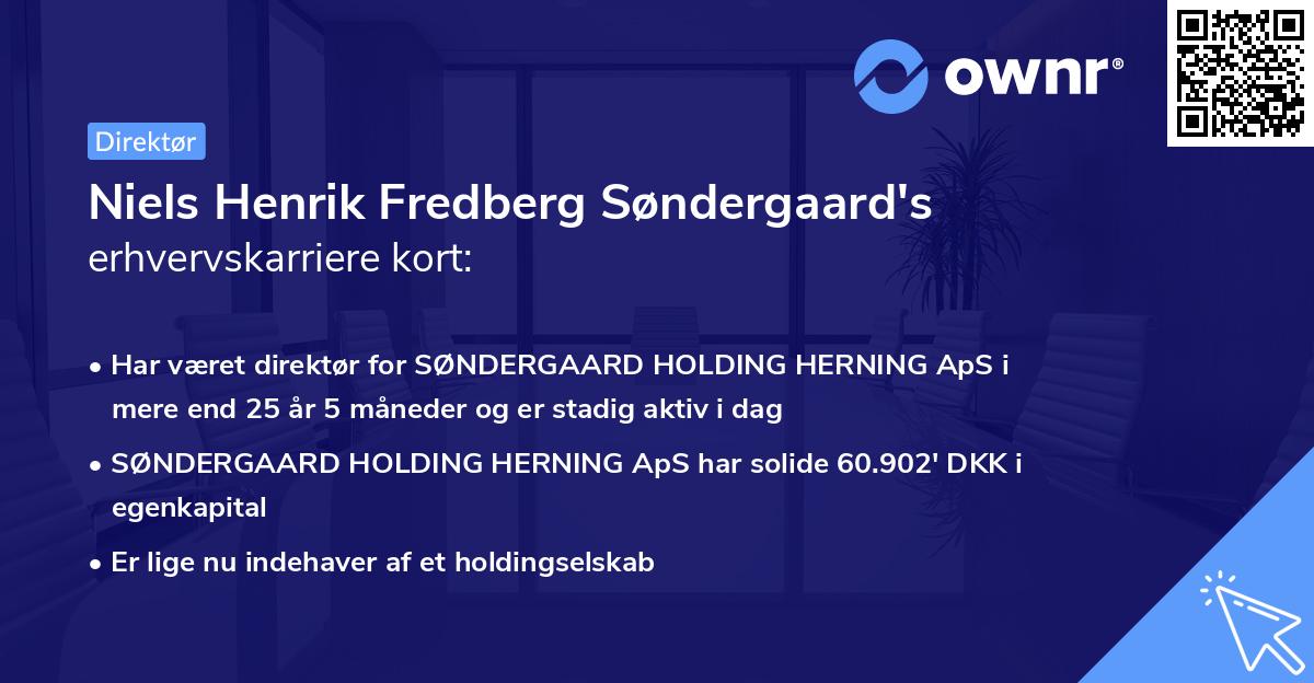 Niels Henrik Fredberg Søndergaard's erhvervskarriere kort