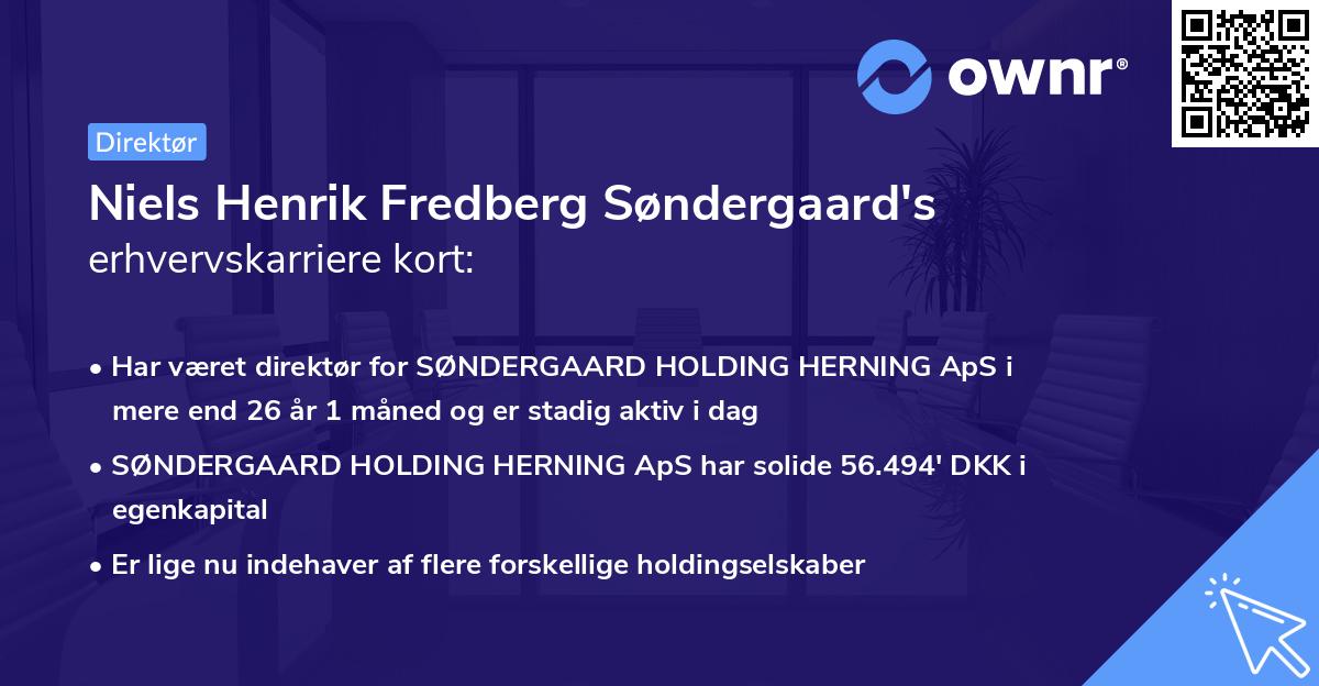 Niels Henrik Fredberg Søndergaard's erhvervskarriere kort