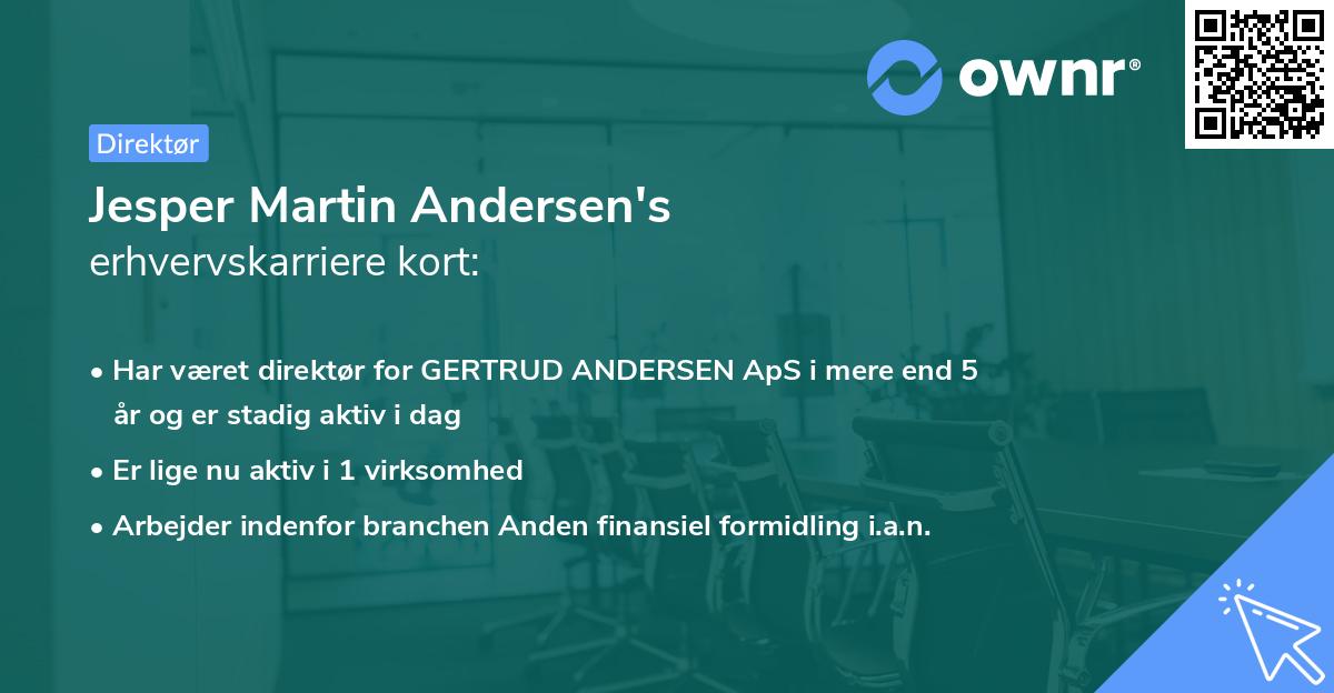 Jesper Martin Andersen's erhvervskarriere kort