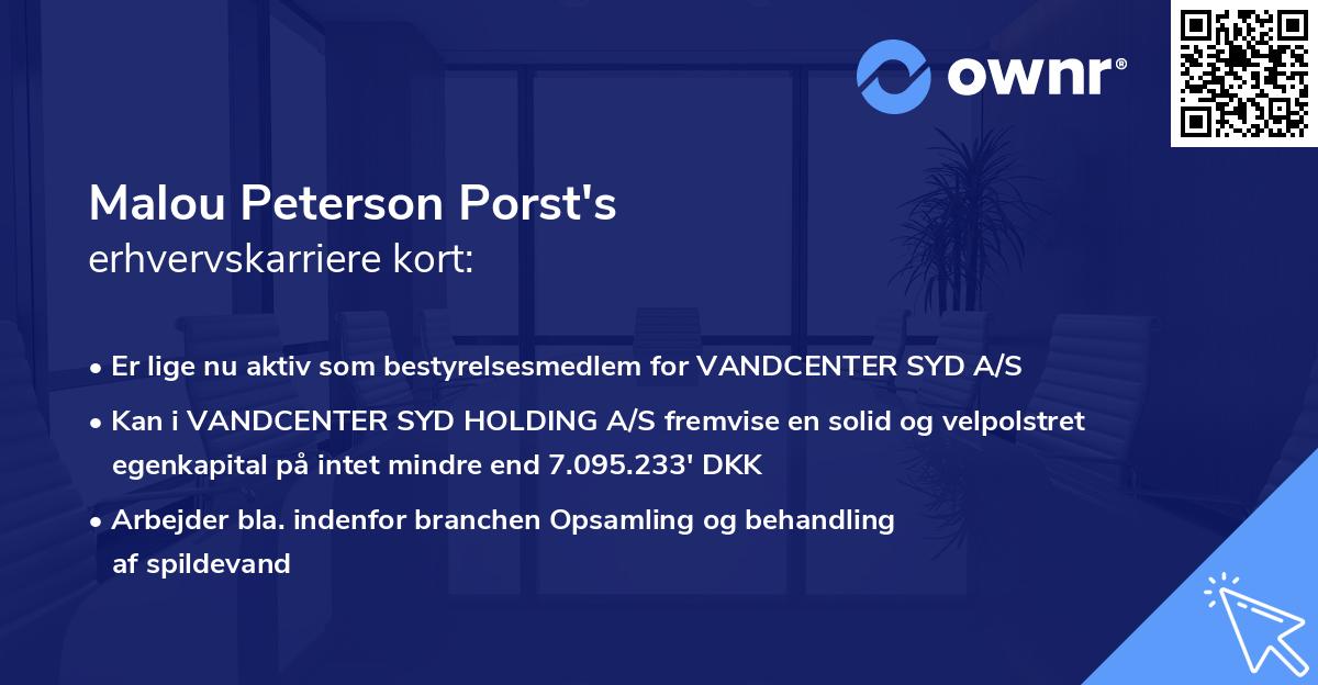 Malou Peterson Porst's erhvervskarriere kort