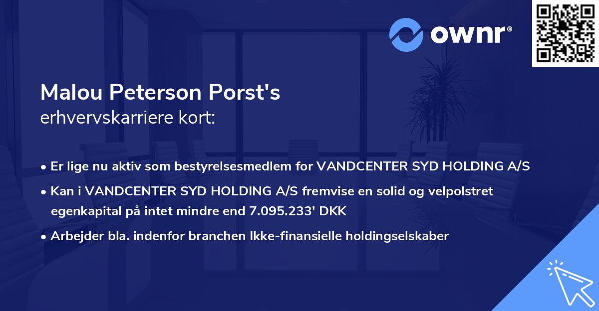 Malou Peterson Porst's erhvervskarriere kort